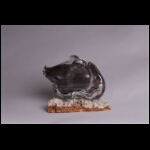 Heart of Carbon v2  7 x 8 x 5 in.jpg